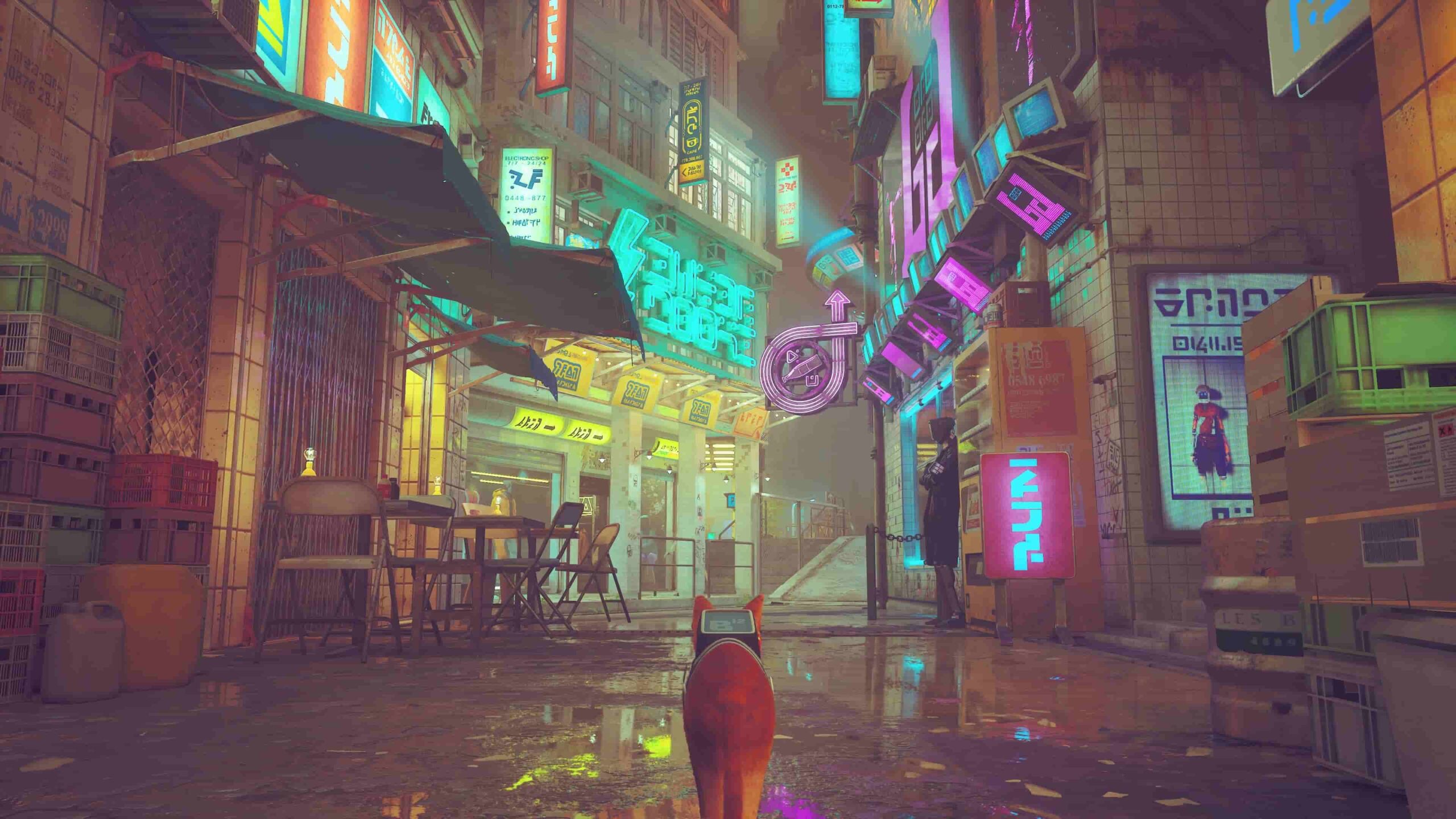 Stray